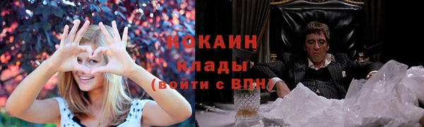 тгк Пересвет
