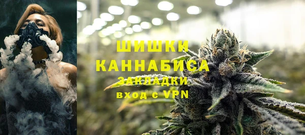 тгк Пересвет