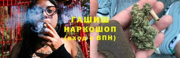 PSILOCYBIN Аркадак